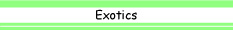 exotics